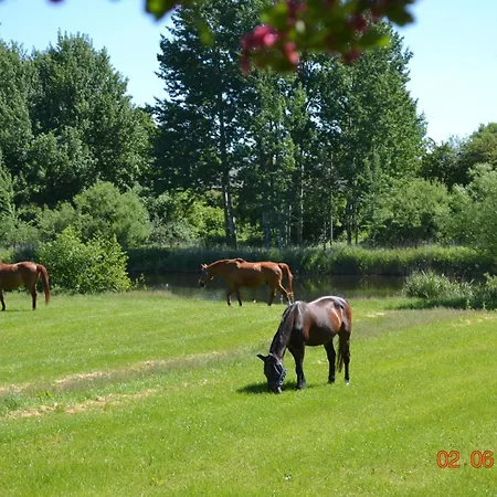 Appartement Gosch *